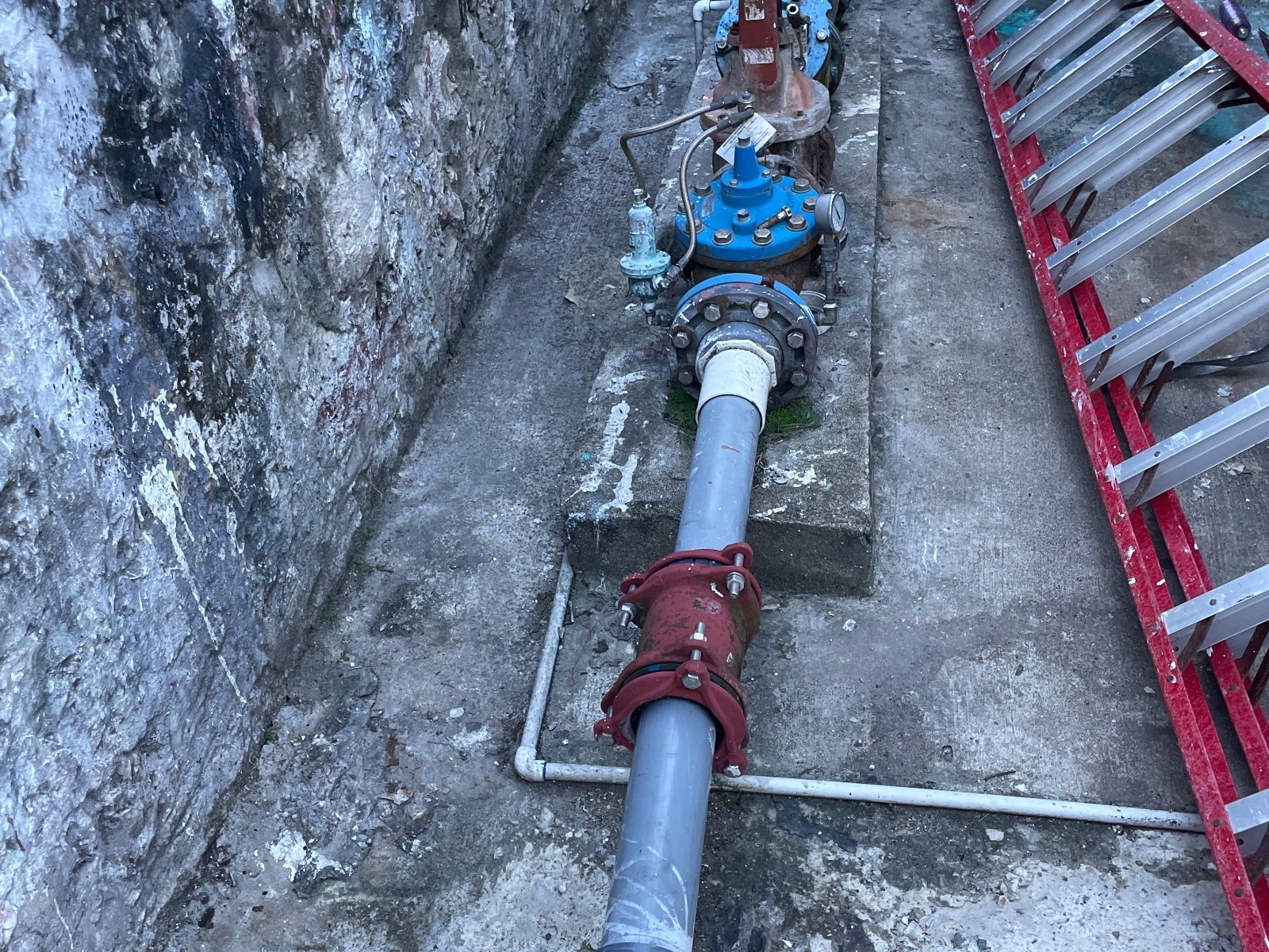 Work by Eran wynter